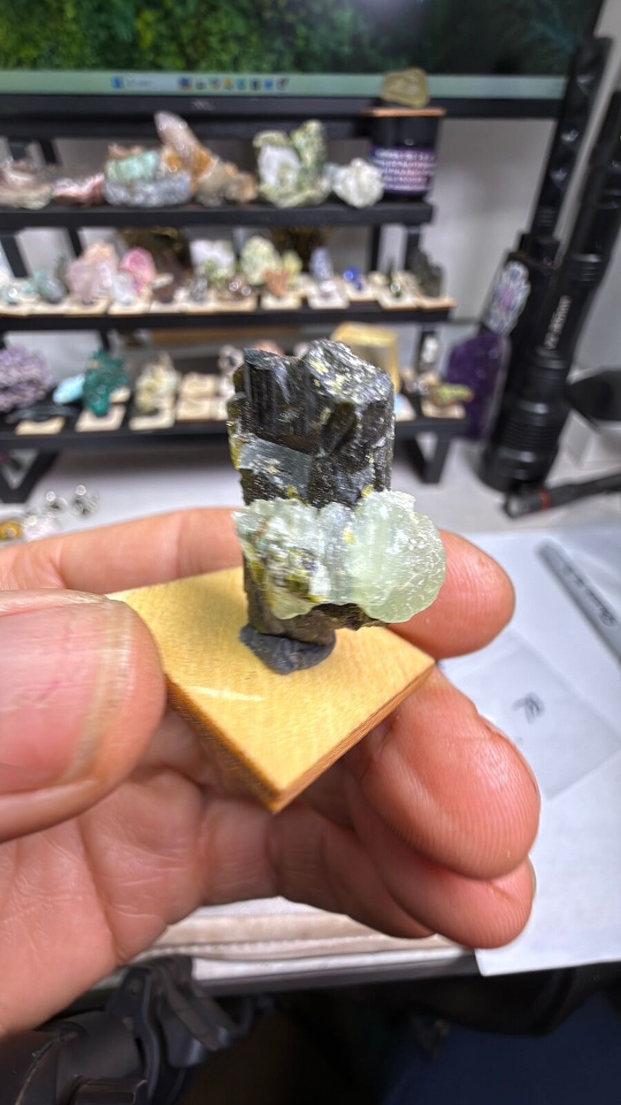 Present w/ epidote # 78