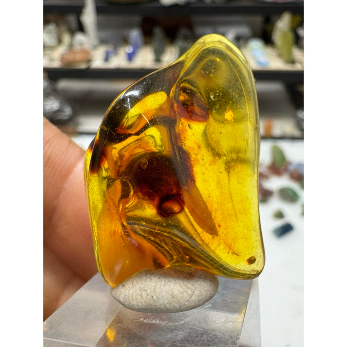Lithuania #238 Polished Fluorescent Amber - Nice Size, Natural Color, High Quality, Ideal for Collectors and Enthusiasts