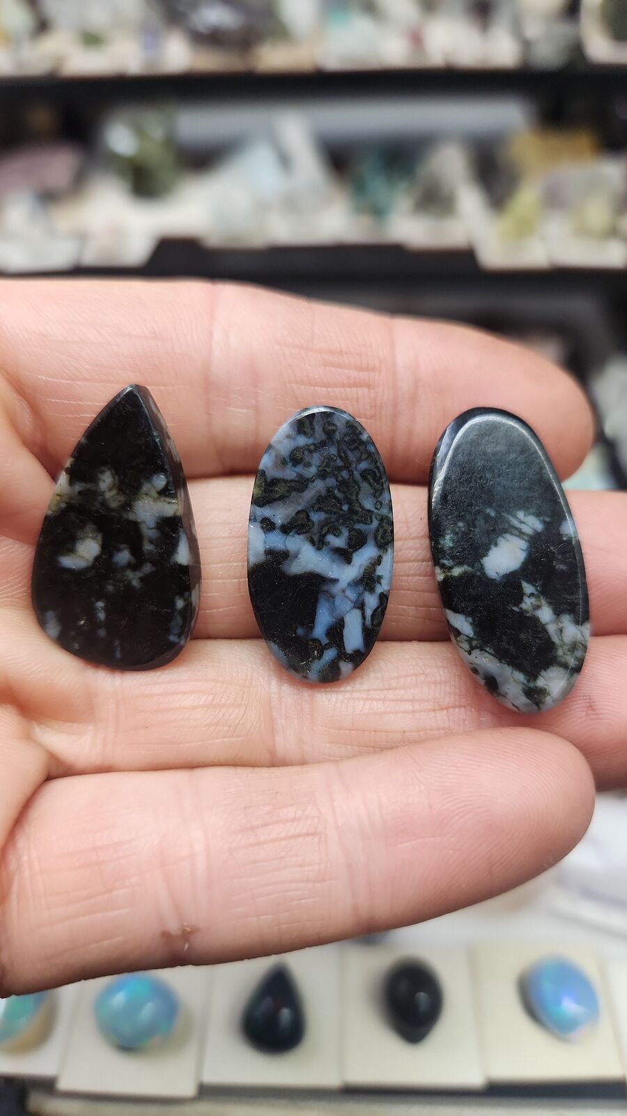 Indigo Gabbro #56