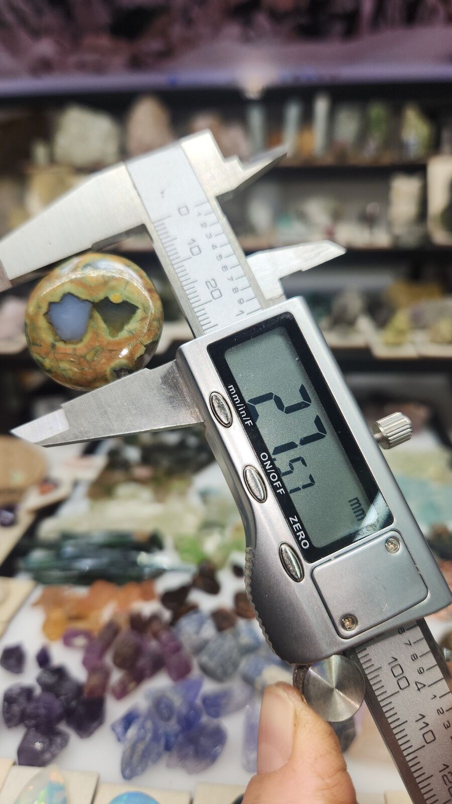 Rainforest Jasper #338
