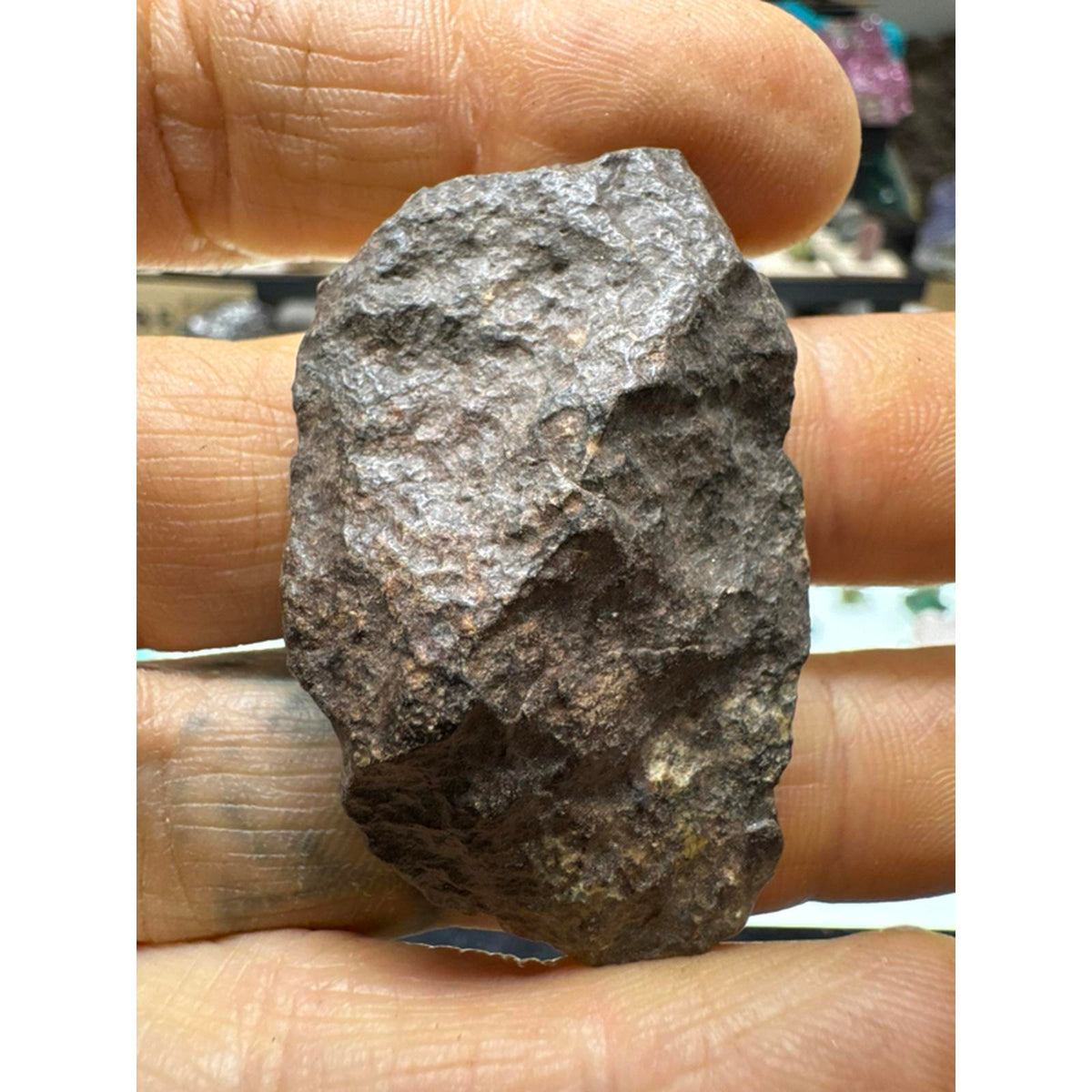 27 Gram Chondrite Meteorite Stony #261 from Morocco Authentic Space Rock for Collectors