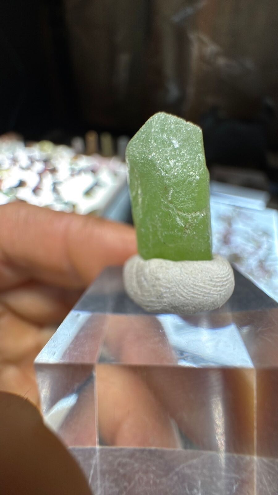 3.1g Peridot Crystal Terminated #26