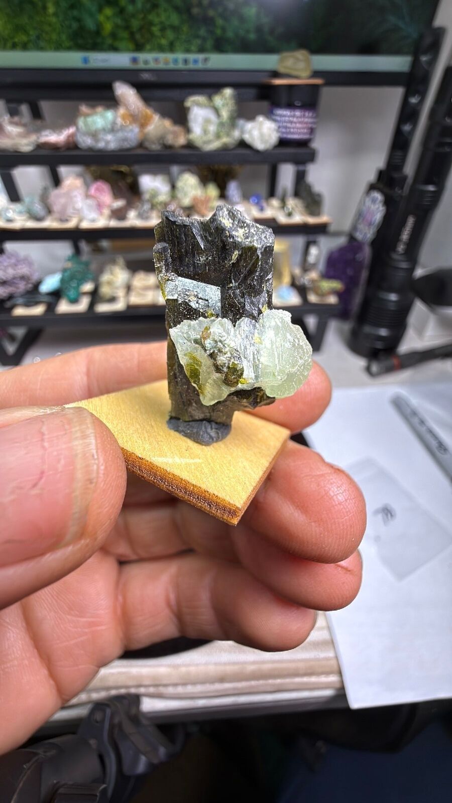 Present w/ epidote # 78
