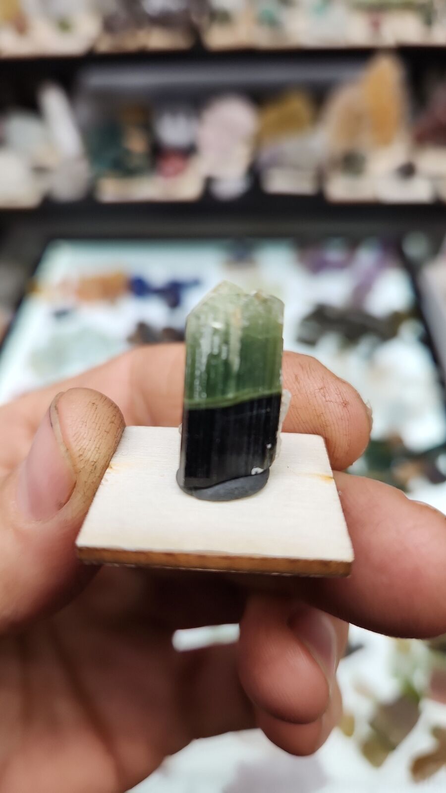 Stak Nala tourmaline #18