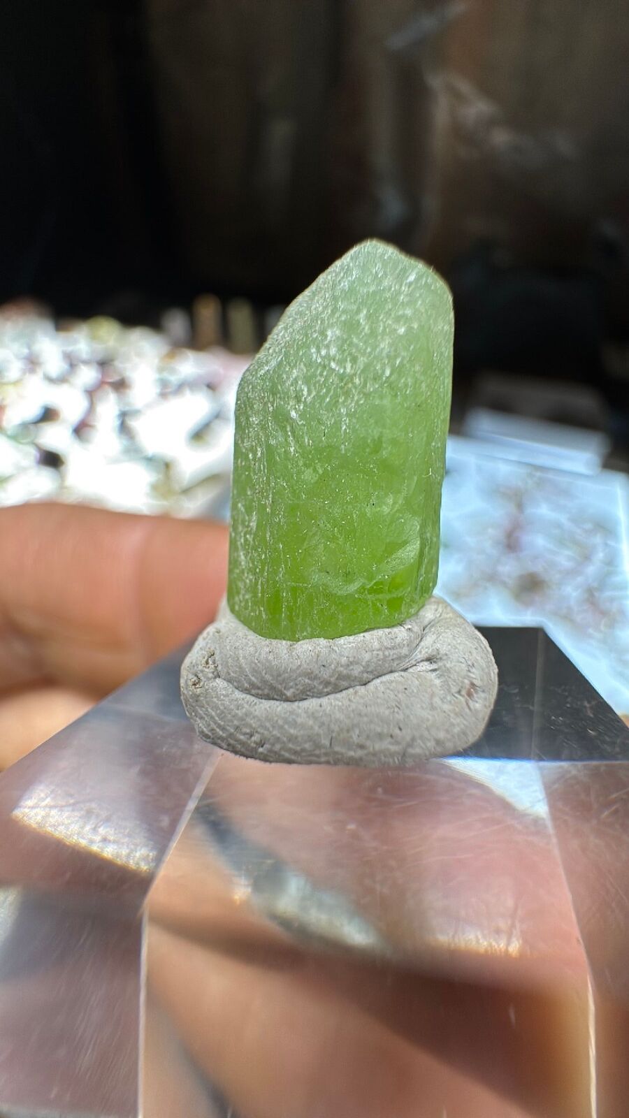 3.1g Peridot Crystal Terminated #26