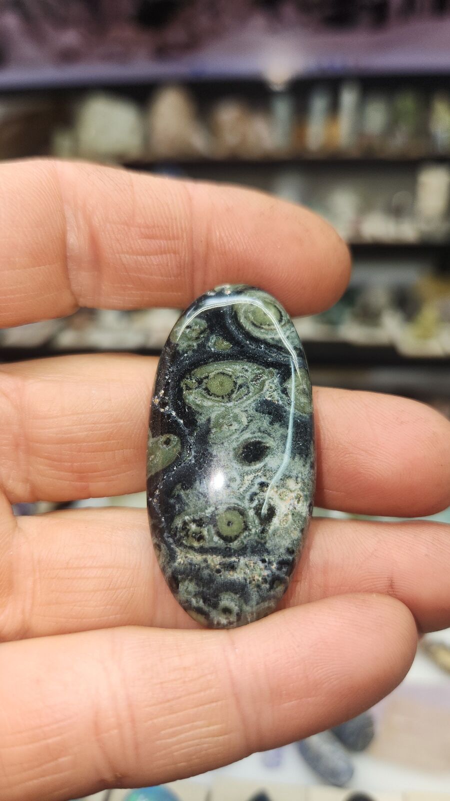 Kambaba Jasper #113