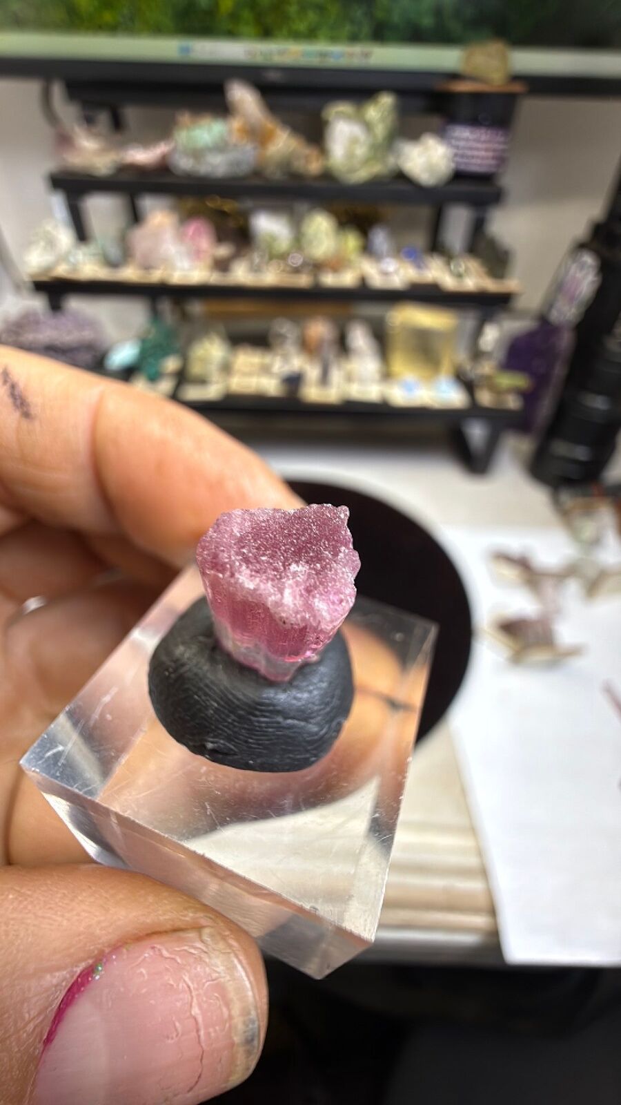 Tourmaline #181