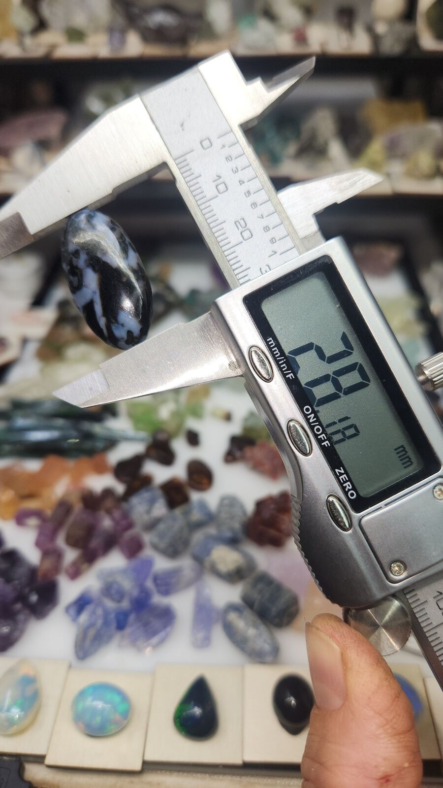 Indigo Gabbro #56