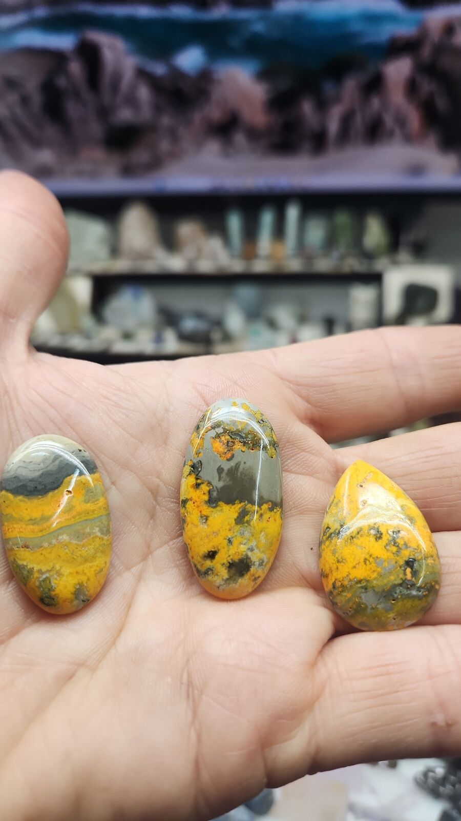 Bumblebee Jasper #201