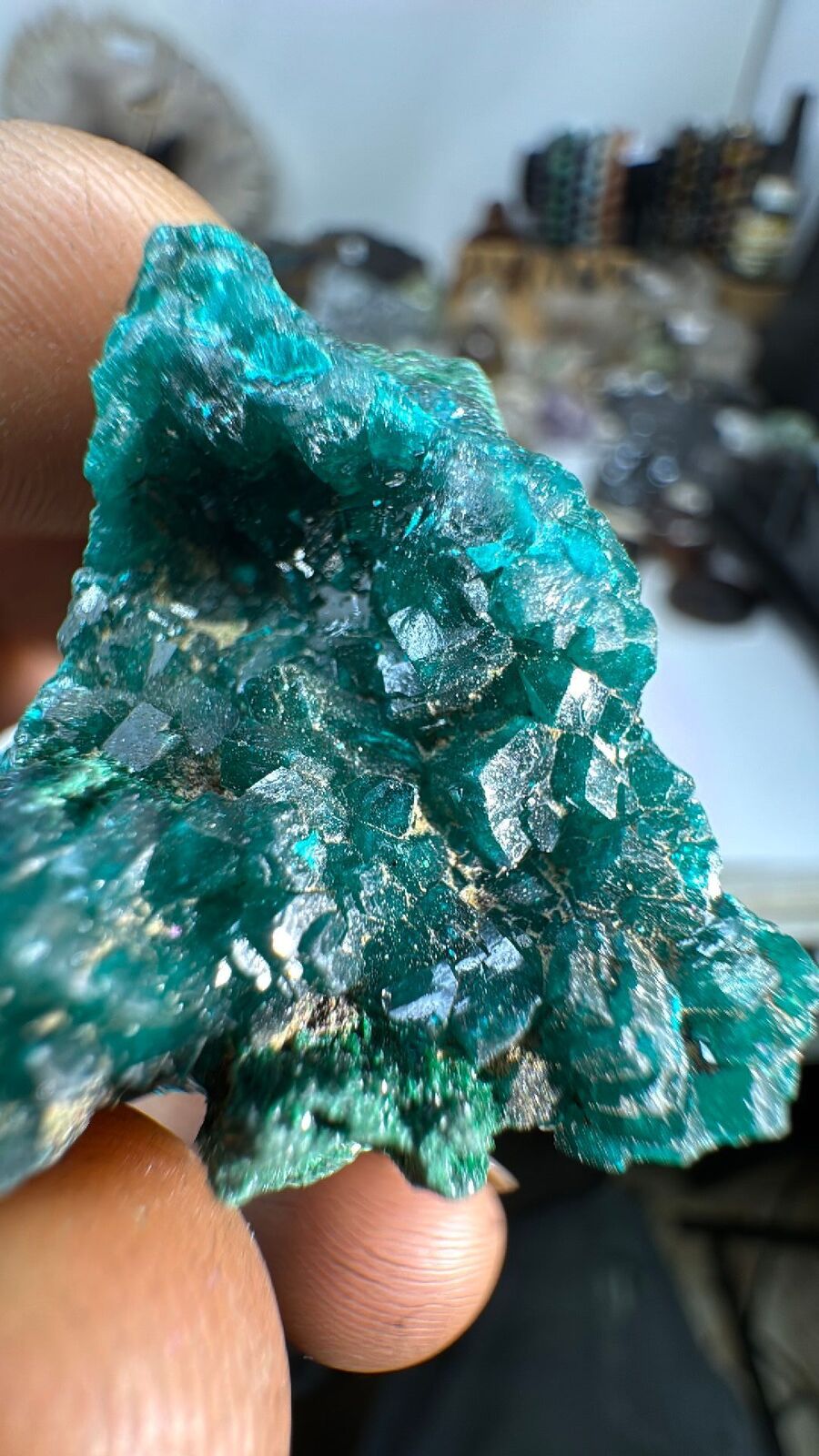 30g Dioptase Cluster Specimen #106