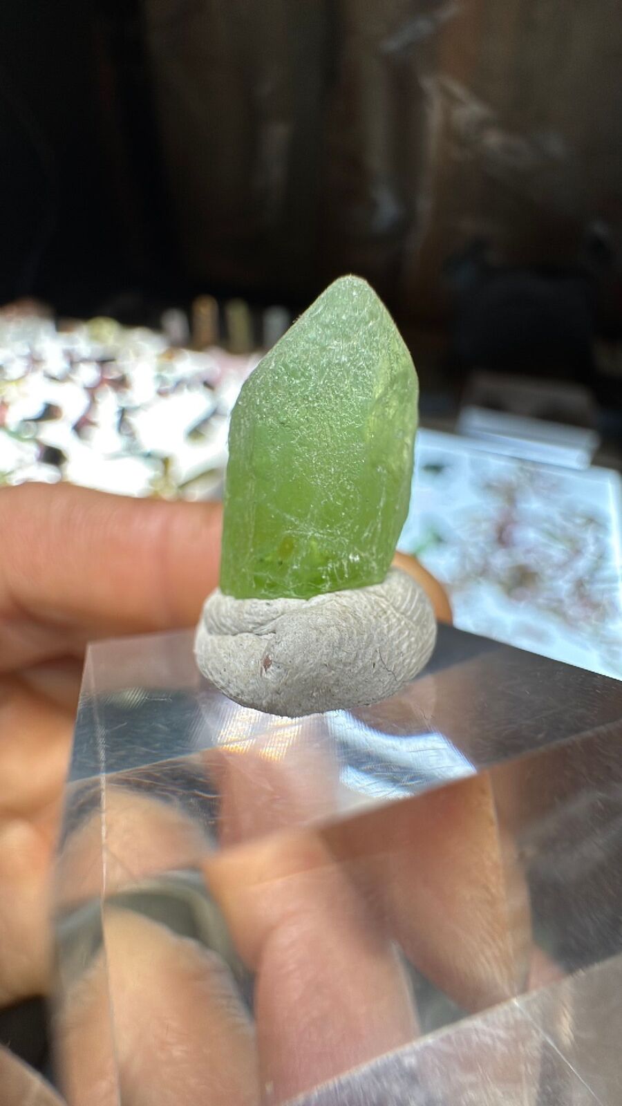 3.1g Peridot Crystal Terminated #26