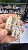 Fossilized bamboo #27