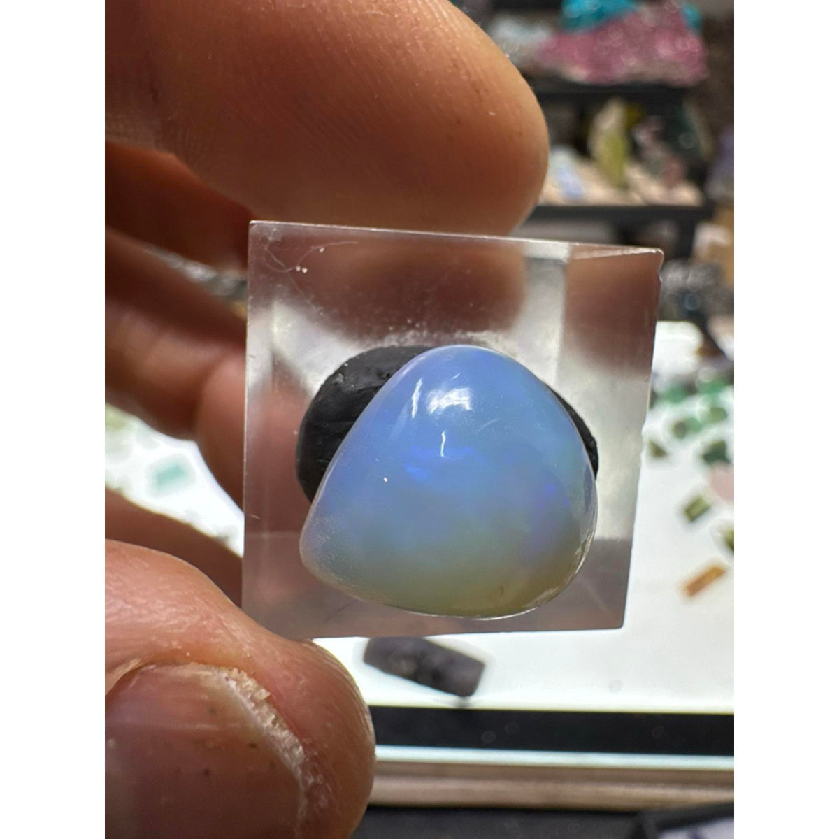 7 Carat Ethiopian Opal Cab #258 - Genuine Gemstone with Unique Color and Shine