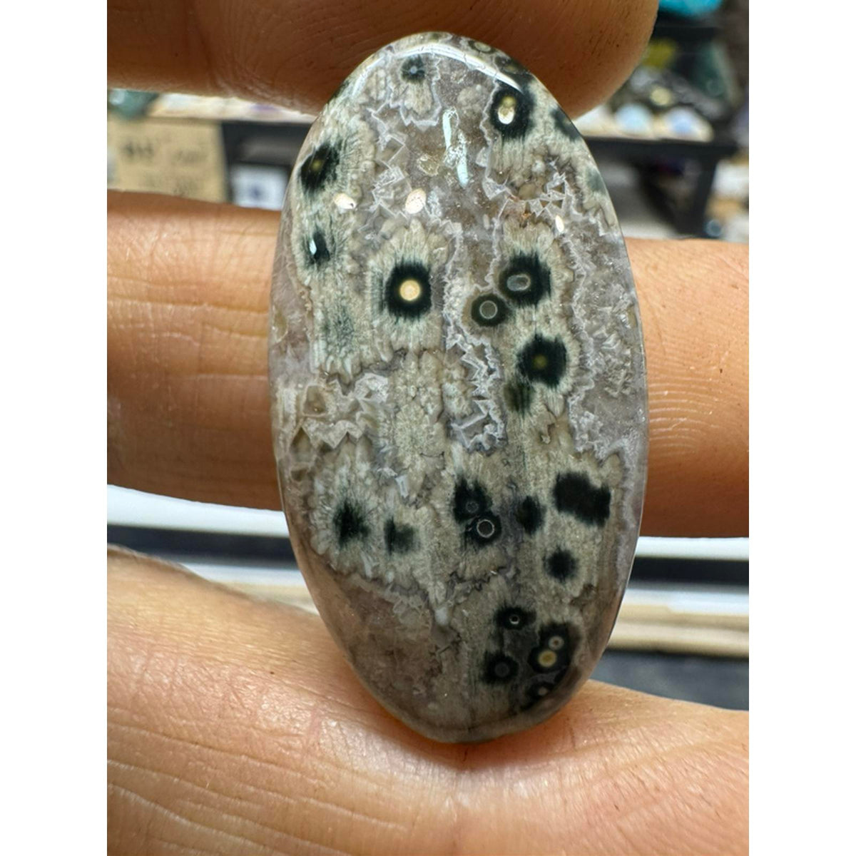 #219 Ocean Jasper Cabs - Parcel of 3 Natural Stone Cabochons for Jewelry Making and Collecting