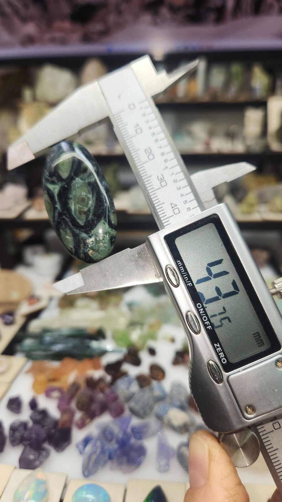 Kambaba Jasper #113
