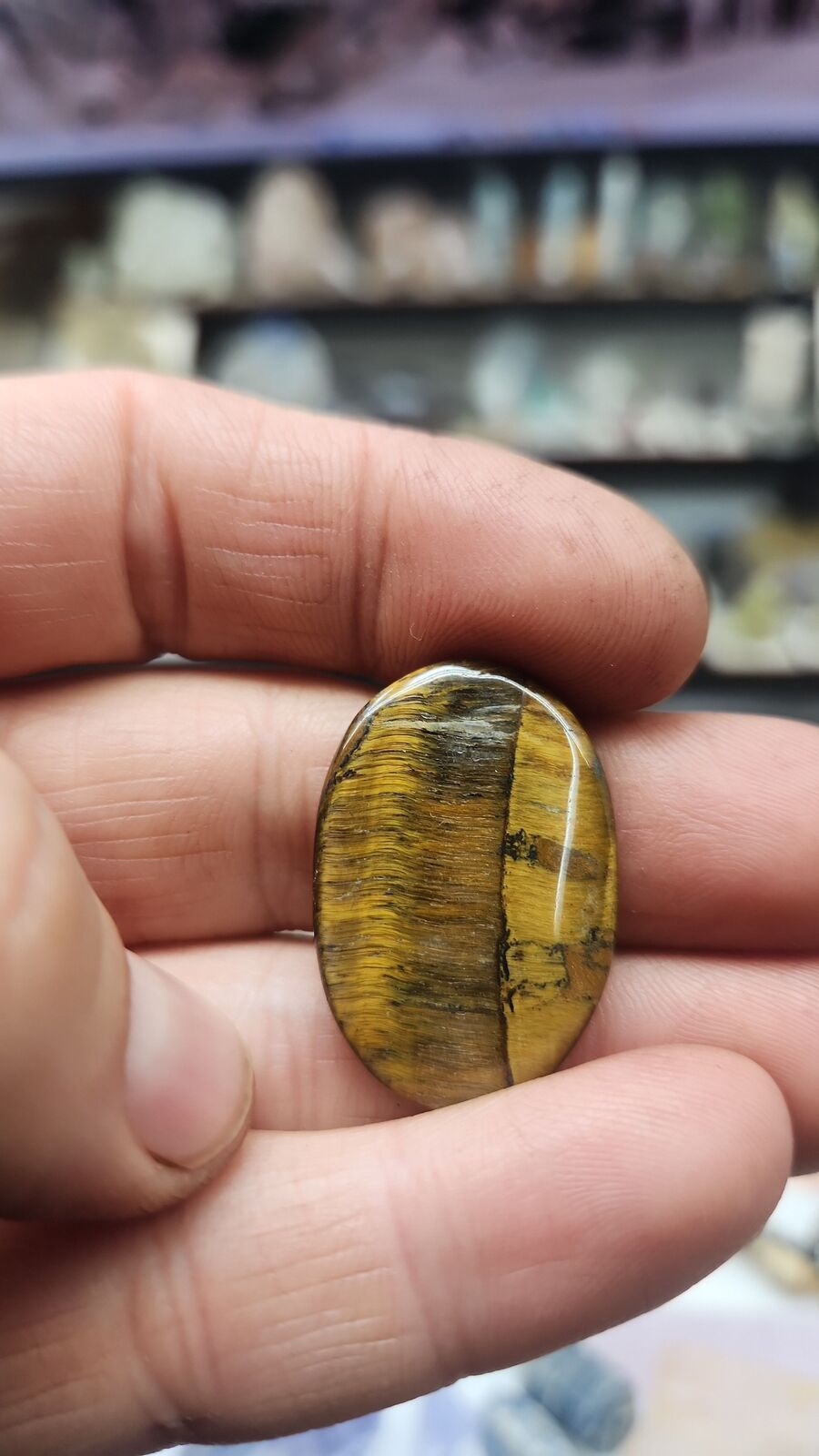 Tigers eye #98