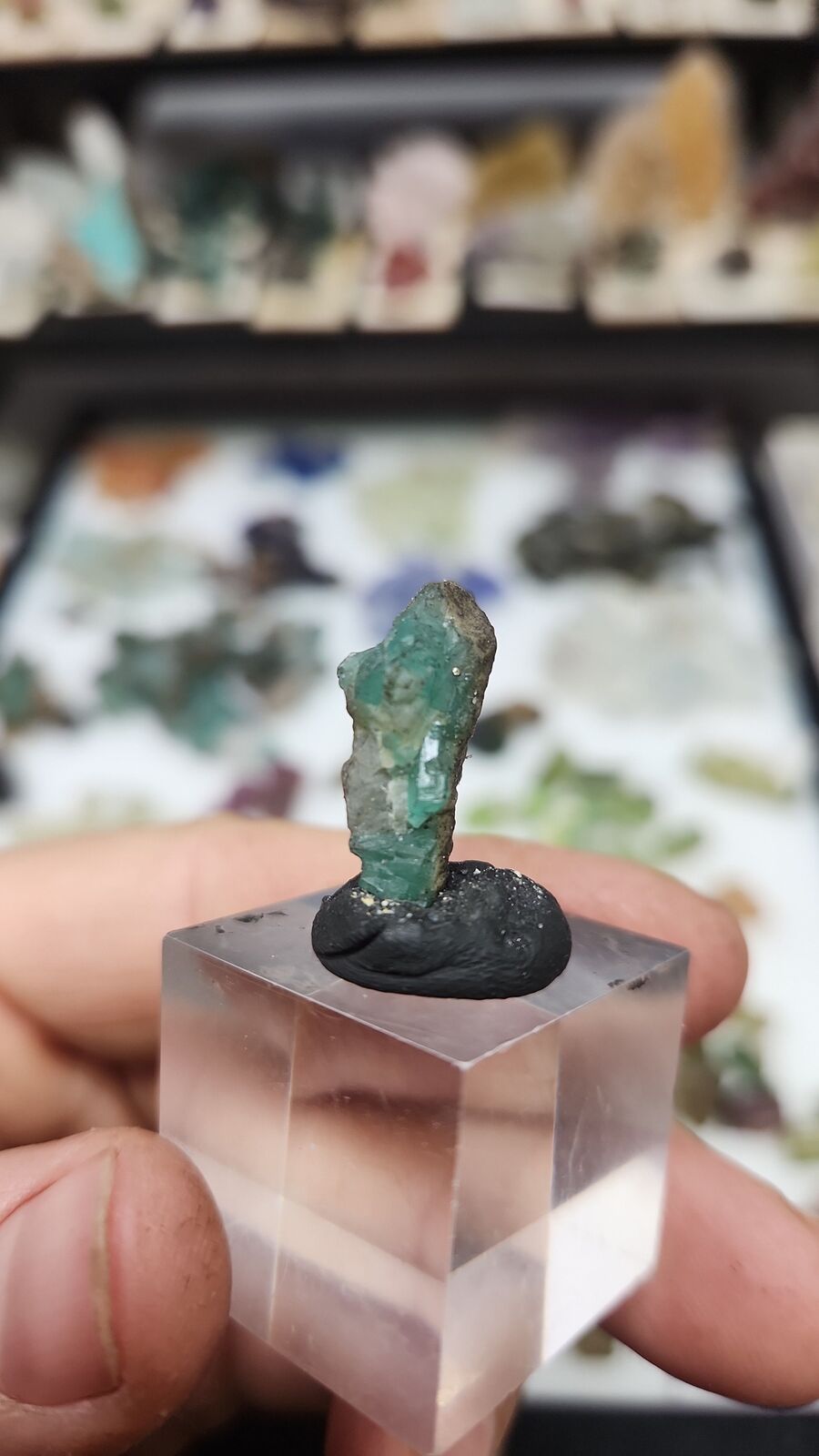 Emerald #77