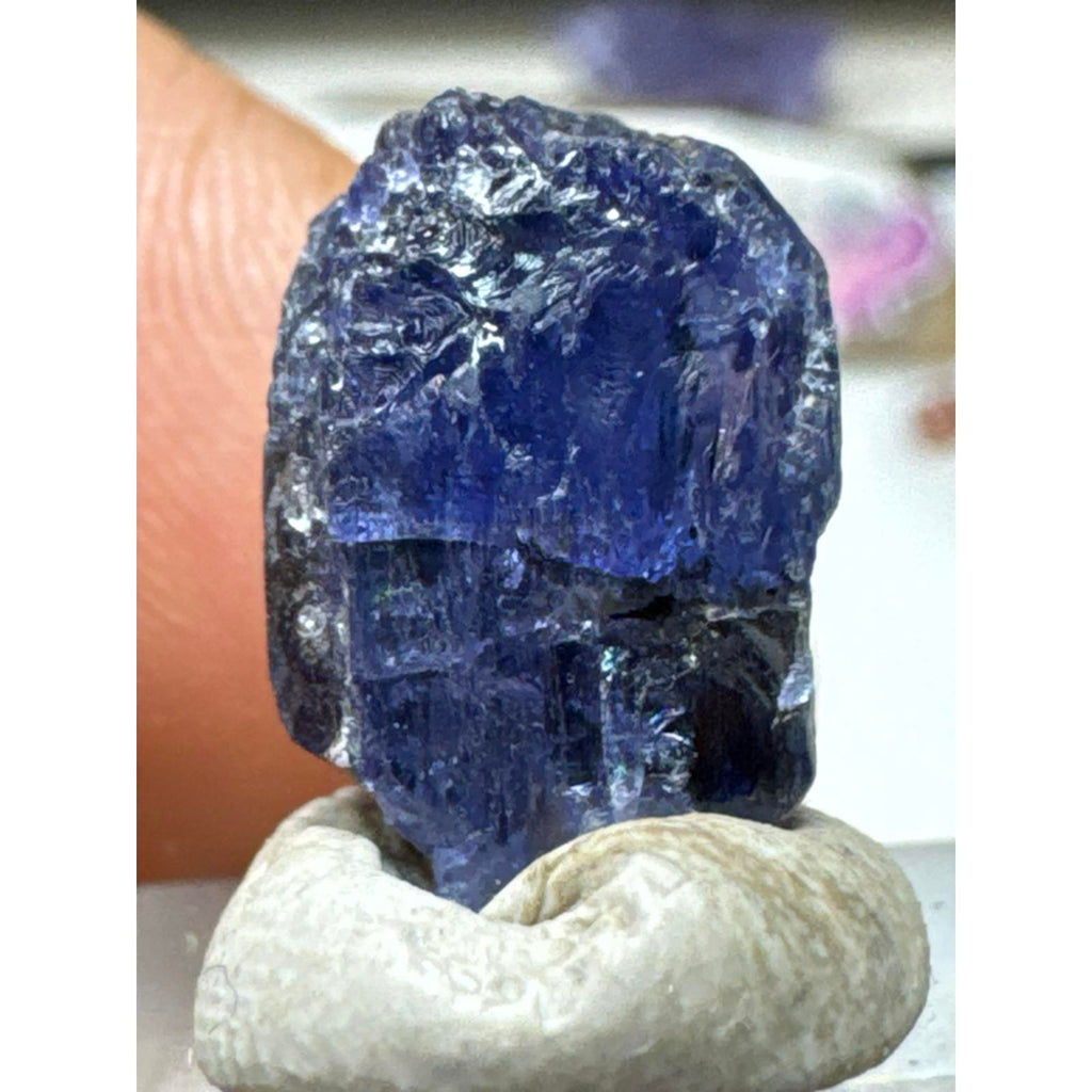13.7 Carat Tanzanite Crystal Huge Terminated #234 Natural Gemstone for Collectors and Enthusiasts