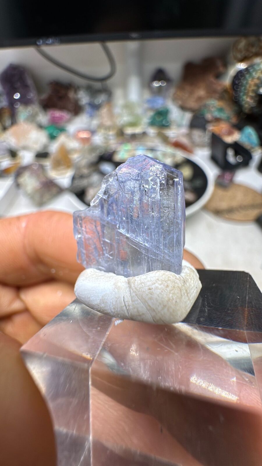 13ct Tanzanite Crystal #22