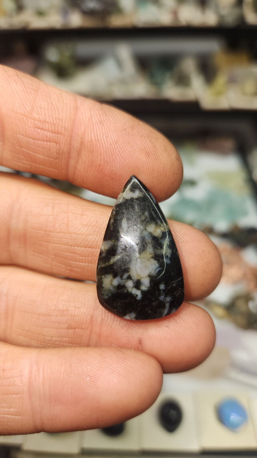 Indigo Gabbro #56
