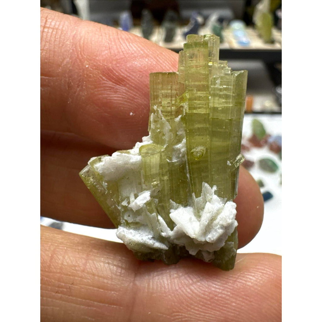 9.1 gram tourmaline terminated crystal cluster #244 from Pakistan