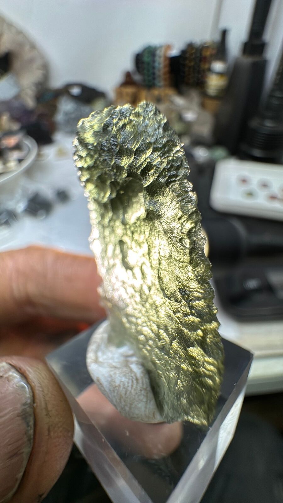 4.8g Moldavite Angel Wing #62