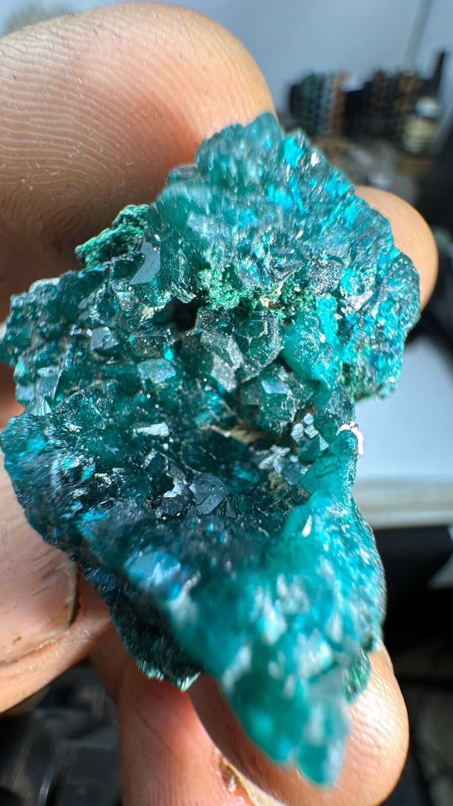 30g Dioptase Cluster Specimen #106