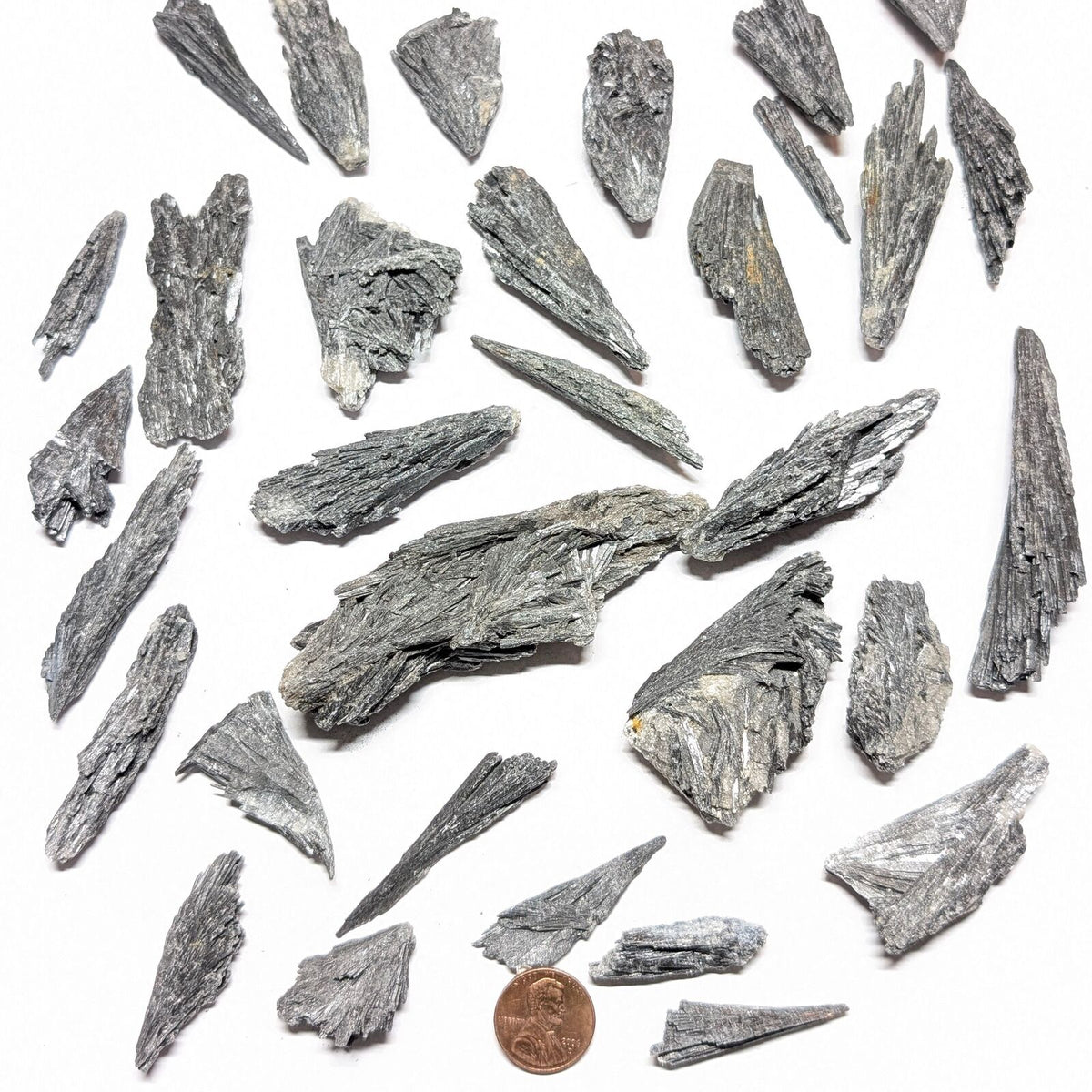 1 lb of Natural Black Kyanite Fans - Premium Metaphysical Crystal